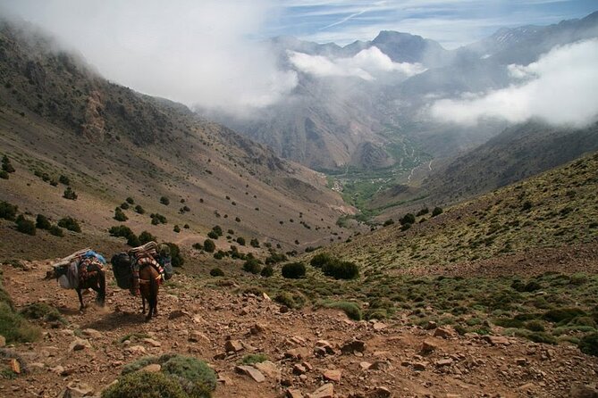 1-Day tripTour from Marrakech to Imlil in Atlas Mountains - Walking through Berber villages toward Aremd