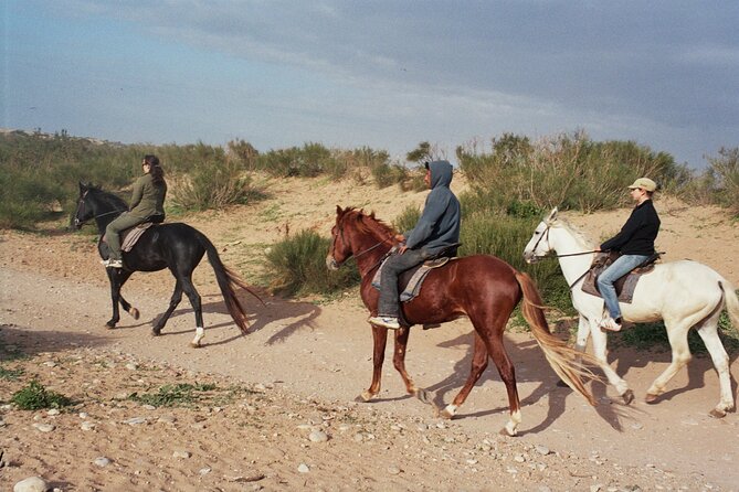 1 hour horse ride on the beach of essaouira - Starting in Essaouira and heading to Diabat