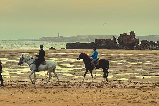 1 hour horse ride on the beach of essaouira - What the one-hour length really means