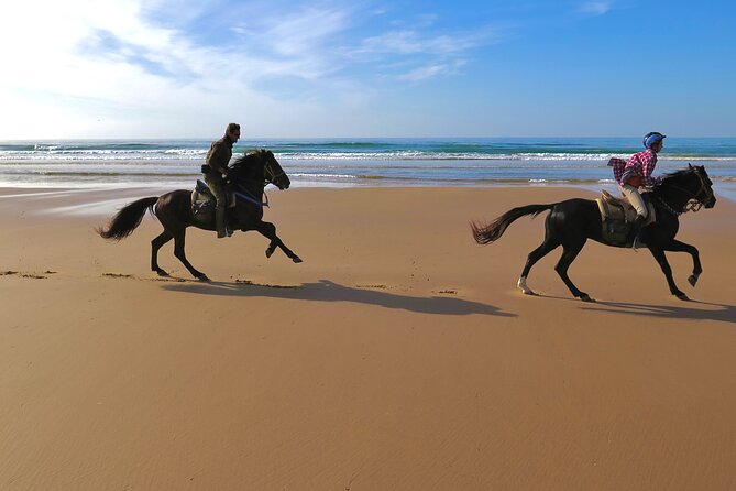1 hour horse ride on the beach of essaouira - Who will enjoy this Essaouira ride most