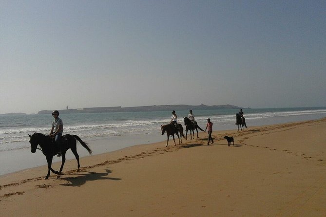 1 hour horse ride on the beach of essaouira - Riding beside the Atlantic