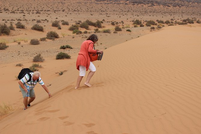 1 night in desert from Agadir - Guelmim is the gateway before the desert