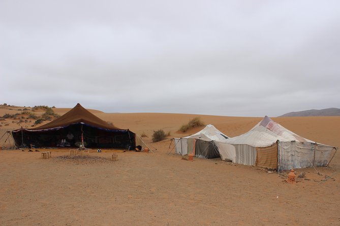 1 night in desert from Agadir - Sunset on the dunes is the evening’s main event