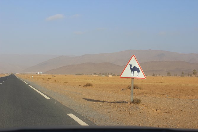 1 night in desert from Agadir - Dinner, Sahraoui music, and a dark sky