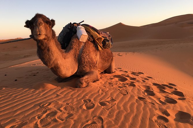 10-Day Chefchaouen to Sahara to Marrakech - Private Group - Marrakech’s monuments and evening square