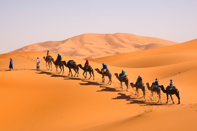 10 Days Morocco Private Tour From Marrakech By South Desert And Imperials Cities - Day 6: From desert roads to Midelt and Ifrane