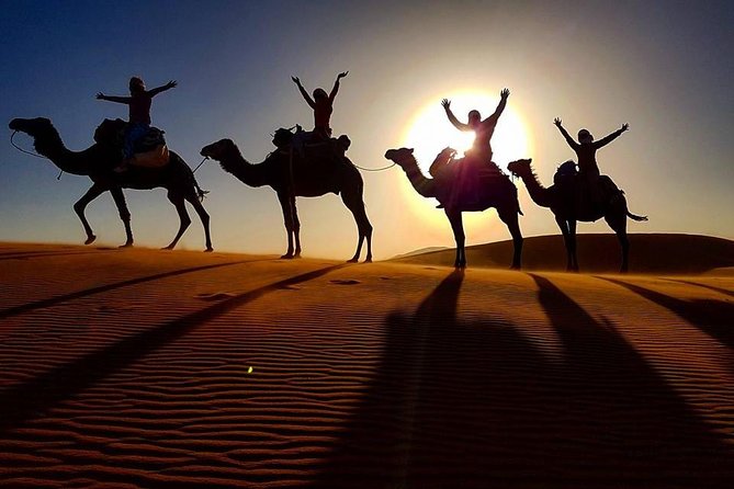 12 Days From Casablanca- Cultural Immersion Tour - Casablanca to Rabat: A gentle start with an important detail