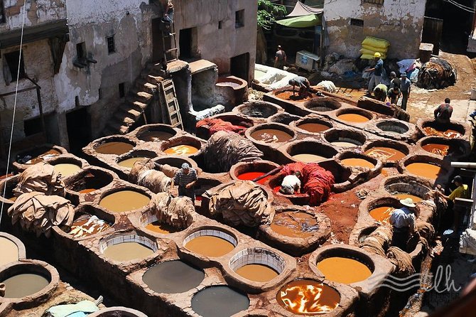 12 Days From Casablanca- Cultural Immersion Tour - Todra and Dades make day eight another scenic marathon