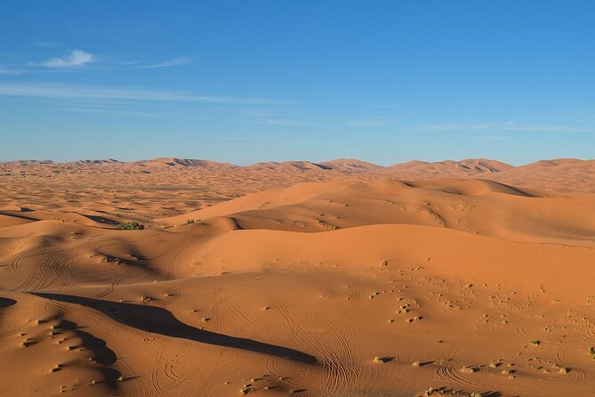 12 Days Private Luxury Sightseeing Tour in Morocco - Day 1: Casablanca, the Hassan II Mosque, and Rick’s Café