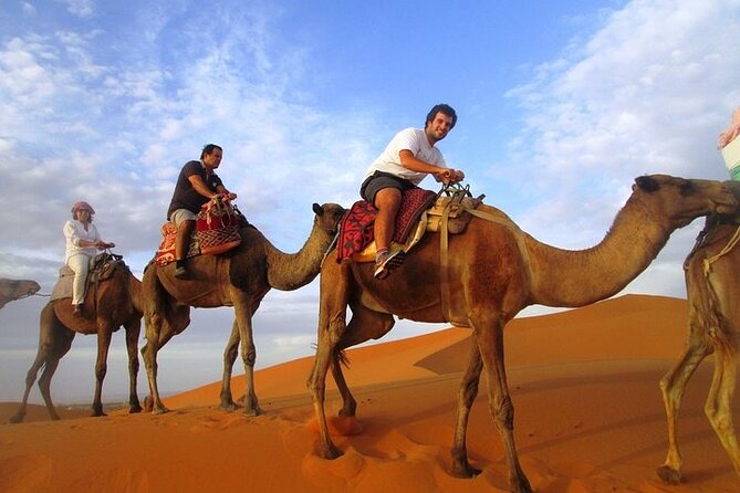 12 Days Private Luxury Sightseeing Tour in Morocco - Day 2: Meknes wine country and the imperial city