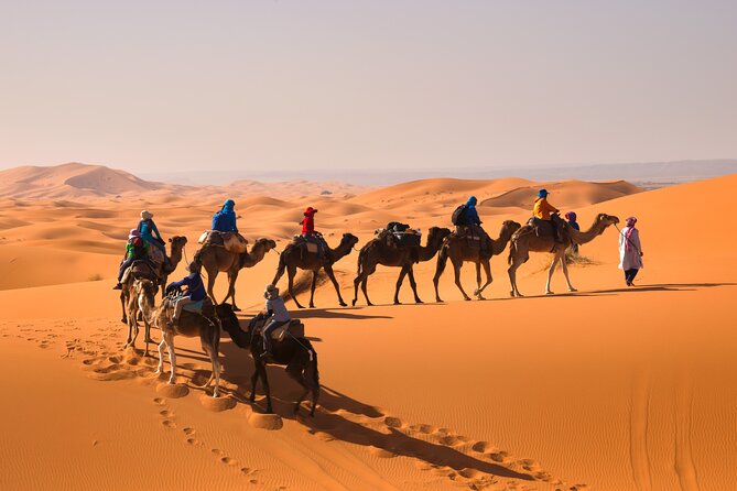 15 Days Morocco Private Grand Tour From North To South Starting From Casablanca - Rissani, Todra Gorge, and the Dades Valley