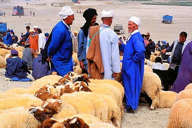2 Day Desert Tour From Marrakech through the Atlas Mountains & Camel ride - Key things to know before you book