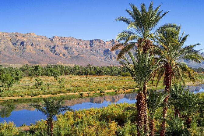 2-Day Desert Tour from Marrakech to Zagora Private & Luxury - The Draa Valley palm grove on day two