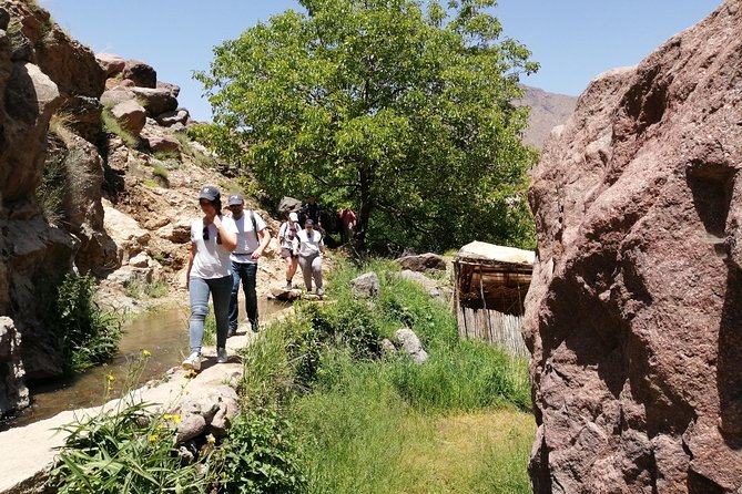2-Day Guided Trek of the Atlas Mountains and Berber Villages - Day One: Tizi Mzik Pass and Tamsoulte Waterfalls