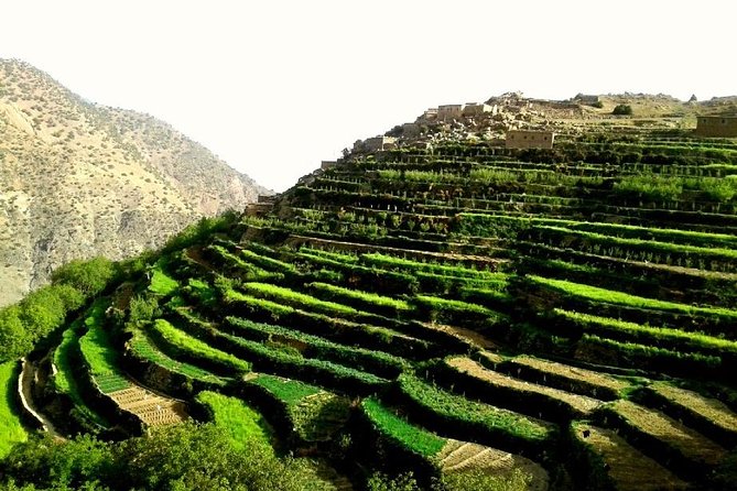 2-Day Guided Trek of the Atlas Mountains and Berber Villages - Day Two: Villages, Forests, and Valley Paths