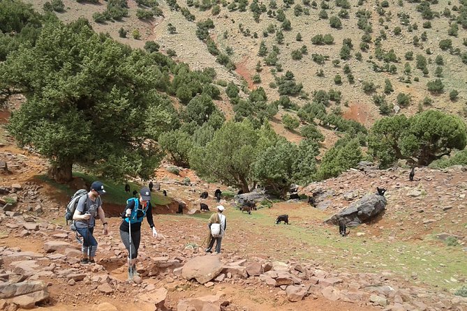 2-Day Guided Trek of the Atlas Mountains and Berber Villages - What the $197.45 Price Covers