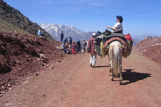 2-Day Jebel Toubkal Trek From Marrakech - What the $231.13 Price Buys You