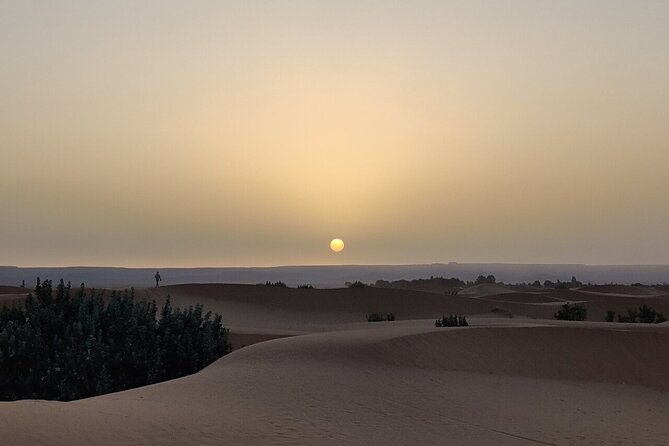 2 Day Luxury Desert Tour from Fes to Fes or Marrakech - Rissani marks the shift from mountains to desert