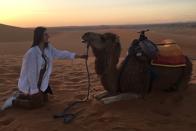 2 Day Luxury Desert Tour from Fes to Fes or Marrakech - Erfoud and fossilized marble craftsmanship