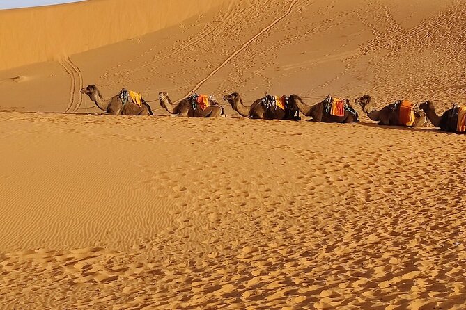 2 Day Luxury Desert Tour from Fes to Fes or Marrakech - What the luxury desert camp includes