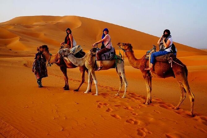 2 Day Luxury Desert Tour from Fes to Fes or Marrakech - Midelt provides a needed break