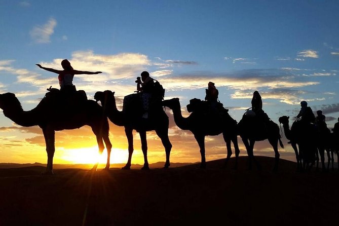 2-Day Zagora Desert Tour from Marrakech - Leaving Marrakech for the High Atlas