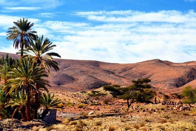 2 Days 1 Night Amazing Zagora Desert Tour From Marrakech - Ouarzazate brings a welcome midday break
