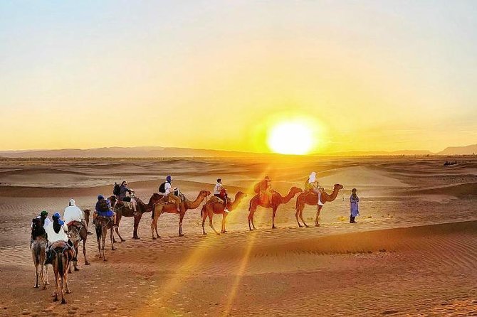 2 Days 1 Night Amazing Zagora Desert Tour From Marrakech - What is included, and what will cost extra