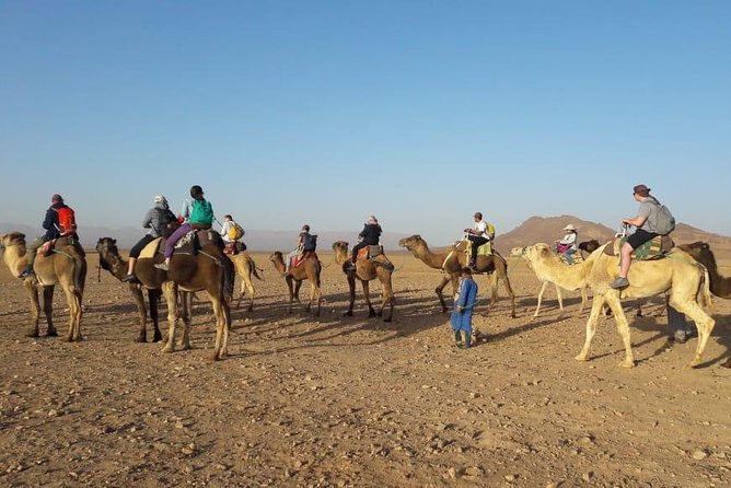 2 Days 1 Night To Zagora Desert From Marrakech - Food, Extra Costs, and the Real Value at $98.72