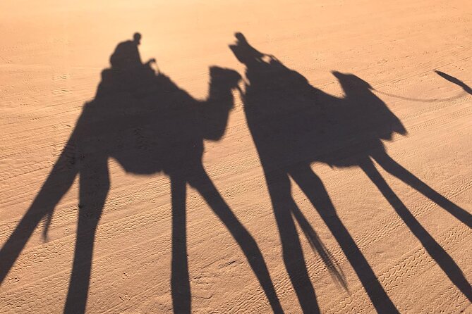 2-Days Desert Tours from Fes with Overnight in Luxury Camp - A night beneath the desert stars