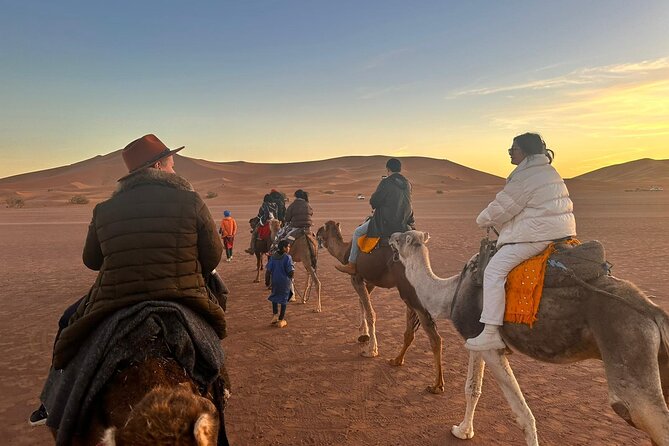 2-Days Desert Tours from Fes with Overnight in Luxury Camp - Azrou Cedar Forest and its curious monkeys