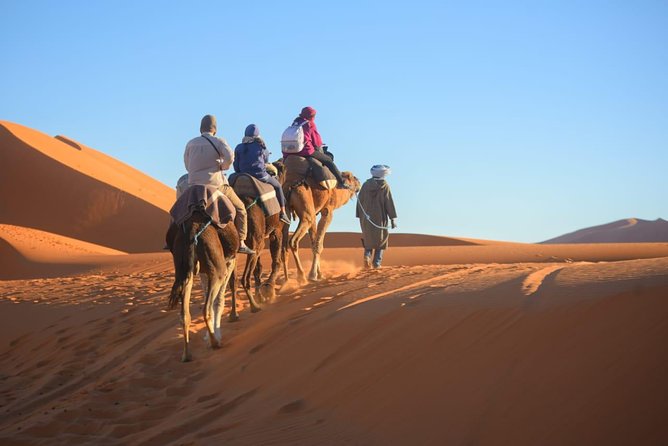 2 Days Fes Desert trip Overnight Erg chebbi End up Fes/Marrakech - Key points to know before booking
