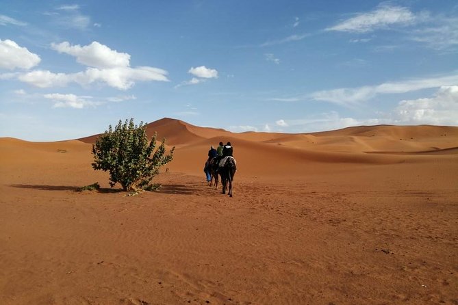 2 Days Fes Desert trip Overnight Erg chebbi End up Fes/Marrakech - Sunrise, breakfast, and the long return