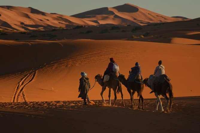 2 Days Fes Desert trip Overnight Erg chebbi End up Fes/Marrakech - Day one begins with Ifrane and Azrou