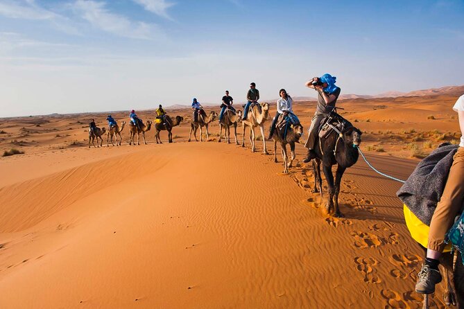 2 Days Sahara Group Tour Fez to Marrakech via Merzouga - Ifrane, Morocco’s alpine-style stop