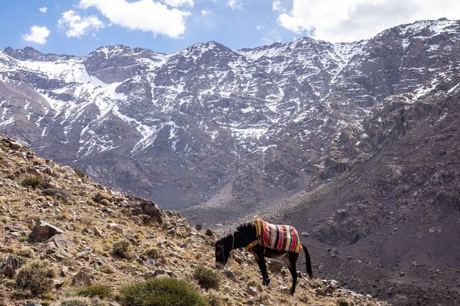 2-Days Toubkal Trek from Marrakech with Local Guide - Leaving Marrakech for Imlil
