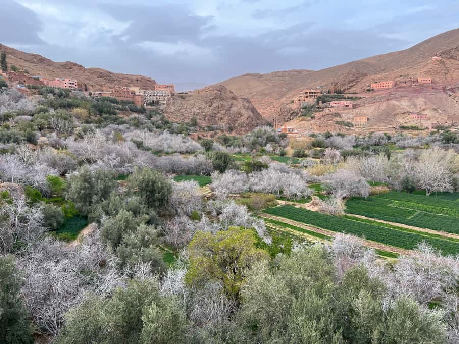 2 Days Trip From Marrakech To Ouarzazate & Dades Valley - A night in Dades Valley