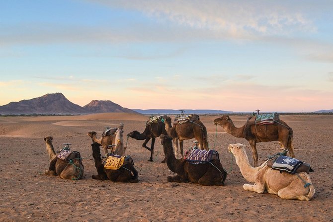 2-Days Zagora desert tour from Marrakech - Ouarzazate, the film town and kasbah stop