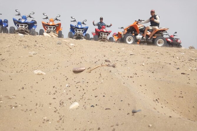 2 Hour Quad & ATV Experience - Across the dunes and sandy tracks