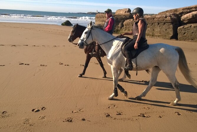 2 hours horse ride beach and dunes in Essaouira Morocco - Morning calm or sunset drama