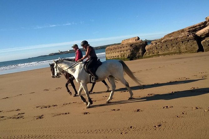 2 hours horse ride beach and dunes in Essaouira Morocco - Horses, care, and stable standards