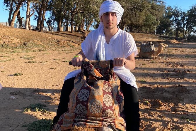 2 Hours Private Camel Ride in Agadir - From your hotel to the camel ranch