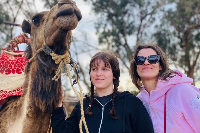 2 Hours Private Camel Ride in Agadir - Who will enjoy this ride most?