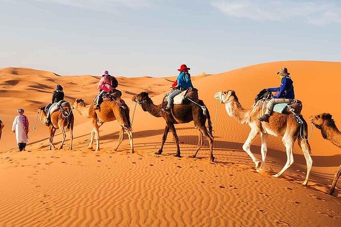 2Days Share Tour From Fes To Marrakech Or Fes Via Sahara & camel - Midelt lunch: A useful break, not a sightseeing stop