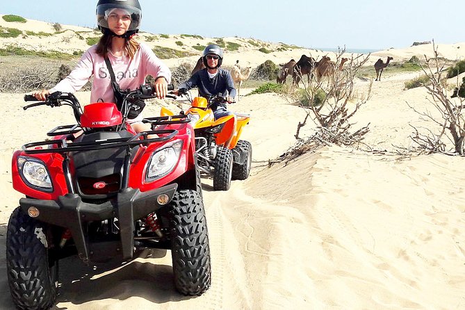 2h quad bike on the beach and in the dunes - Key points to know before you book