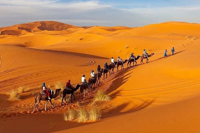 3 Day-2 Night Luxury Desert Tour From Marrakech To Merzouga dunes - Who Will Enjoy This Trip Most