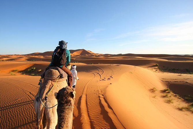 3 Day Desert Tour Marrakech to Fes - Why this Marrakech to Fes route works