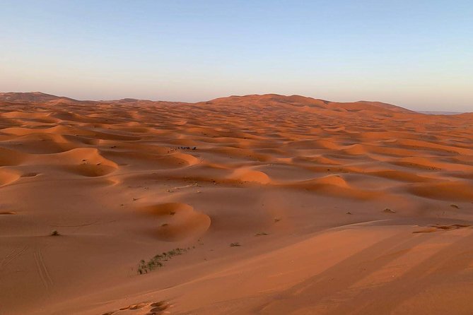 3-Day Desert Tour to Fez: Ouarzazate and Berber Village from Marrakech - Day Three: Ziz Valley to the Middle Atlas