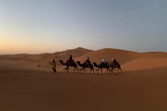 3-Day Desert Tour to Fez: Ouarzazate and Berber Village from Marrakech - Who Should Book This Desert Tour?