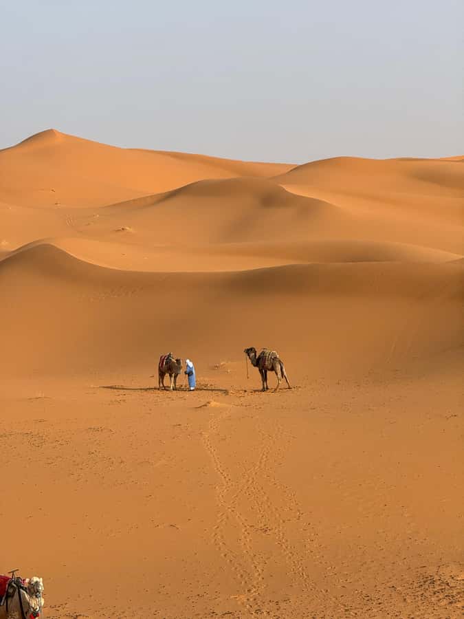 3-Day luxury Adventure: Marrakech to Merzouga incl.Quad/show - Key Points Before You Book